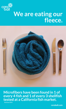 Load image into Gallery viewer, Cora Ball